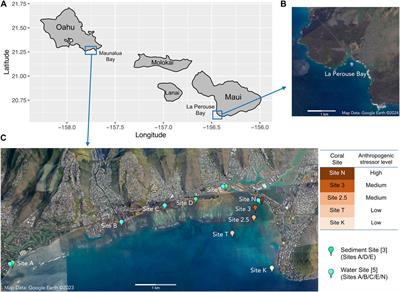 Differential molecular biomarker expression in corals over a gradient of water quality stressors in Maunalua Bay, Hawaii